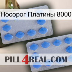 Носорог Платины 8000 20